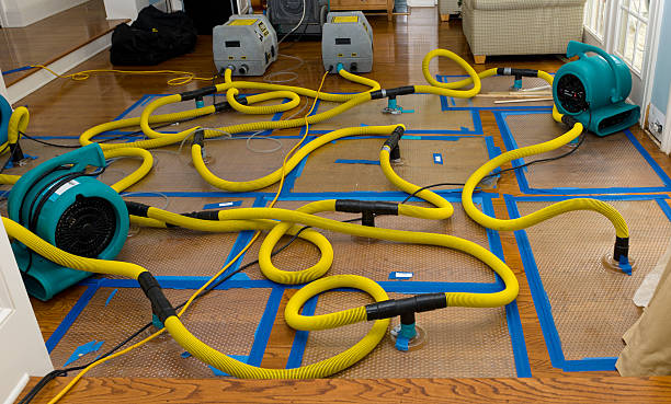 Professional Crawl Space Water Removal technician working in Smithfield, UT